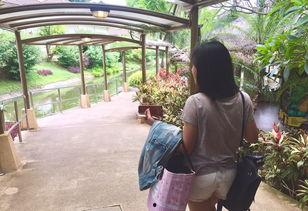 缘分娱乐吃瓜,吃瓜群众揭秘娱乐圈幕后真相